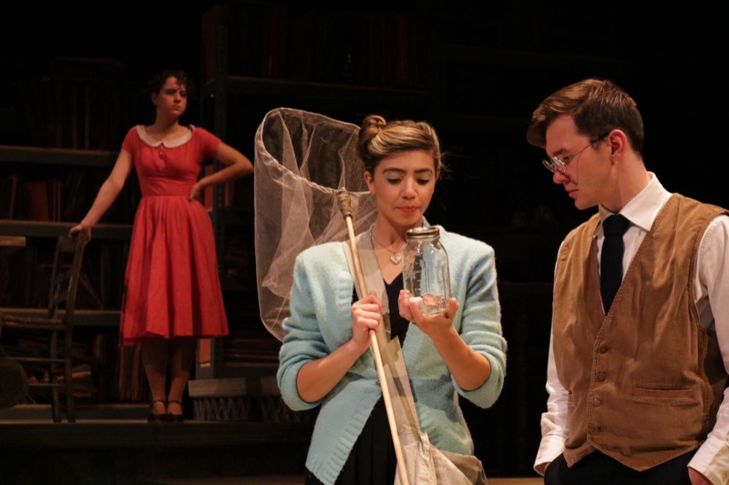 Scene from Hannah and Martin with butterfly net